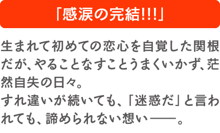 「感涙の完結!!!」生まれて初めての恋心を自覚した関根だが、やることなすことうまくいかず、茫然自失の日々。すれ違いが続いても、「迷惑だ」と言われても、諦められない想い―。